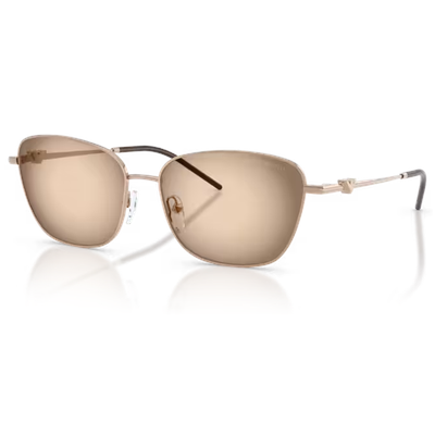 Emporio Armani EA2170 Sunglasses